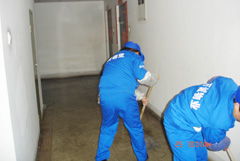 濮陽專業(yè)保潔服務指南 擦玻璃、清洗外墻與門頭價格及家庭保潔須知