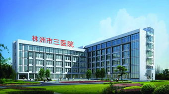 株洲市三醫(yī)院 微創(chuàng)技術(shù)開啟新篇章，賦能新材料技術(shù)開發(fā)服務(wù)